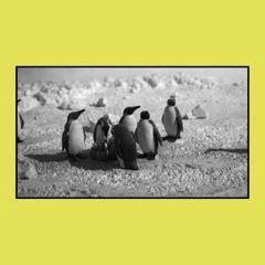 Fruition - 'Santa Fe' (TELEFUNKEN Live From The Lab)