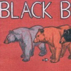 Black Bear by black bear