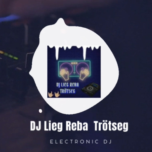 DJ LIEG REBA TRÖTSEG Feat.Ayliva Lilien Techno Remix