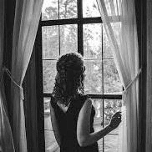 Looking Through The Window