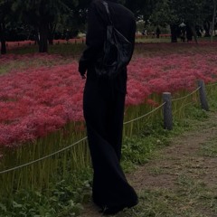 MOTY w/ Omen Sol