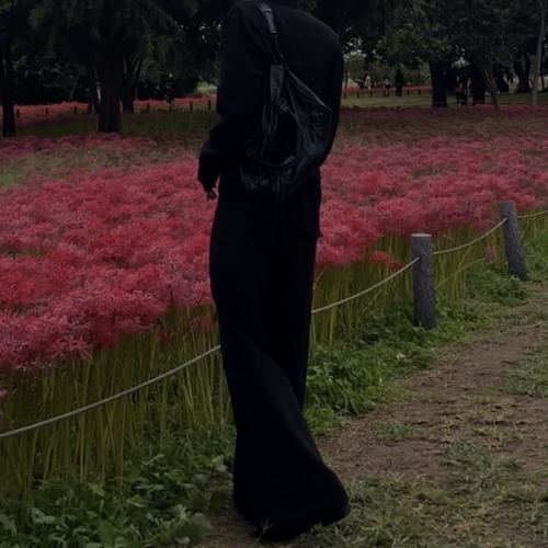 MOTY w/ Omen Sol