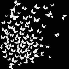 The Swarm