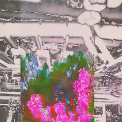 Retour aux sources - TRIBE MIX