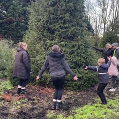 ain’t shit under your tree bitch