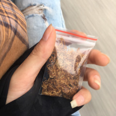 Khi âm nhạc là liều thuốc chữa lành...