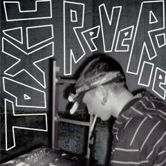 "Toxic Reverie"