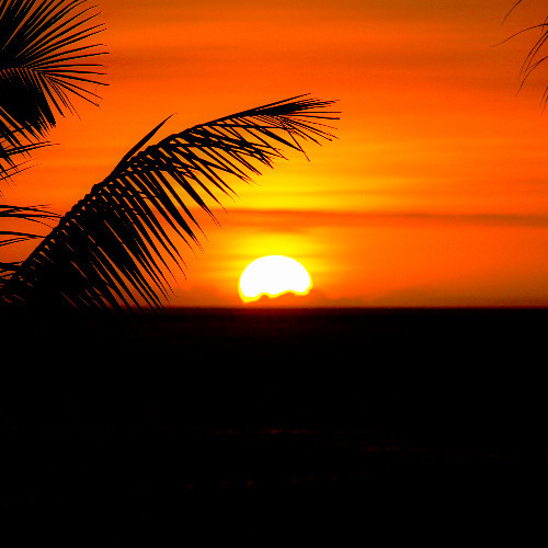 Here on Paedophile Isle