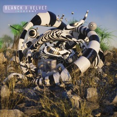 Blanck x Velvet - Indecent