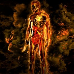 {Ligature Marks} Immutable by Meshuggah (Cover)