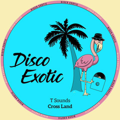 [PREMIERE] T Sounds - Cross Land (Disco Exotic)