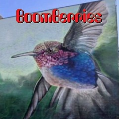 Vliegen Als Een Vogel - BoomBerries