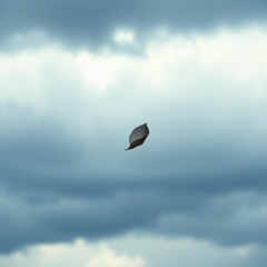Echoes of You