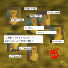 Don Toliver - After Party (ZEMIX)