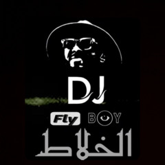 ميني مكس الخلاط هوبيه dj fly boy2024