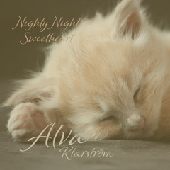 Nighty Night Sweetheart