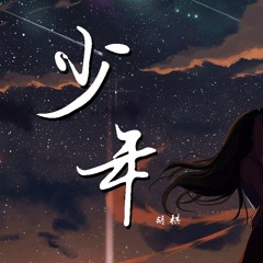 胡棋 - 少年【動態歌詞/Lyrics Video】