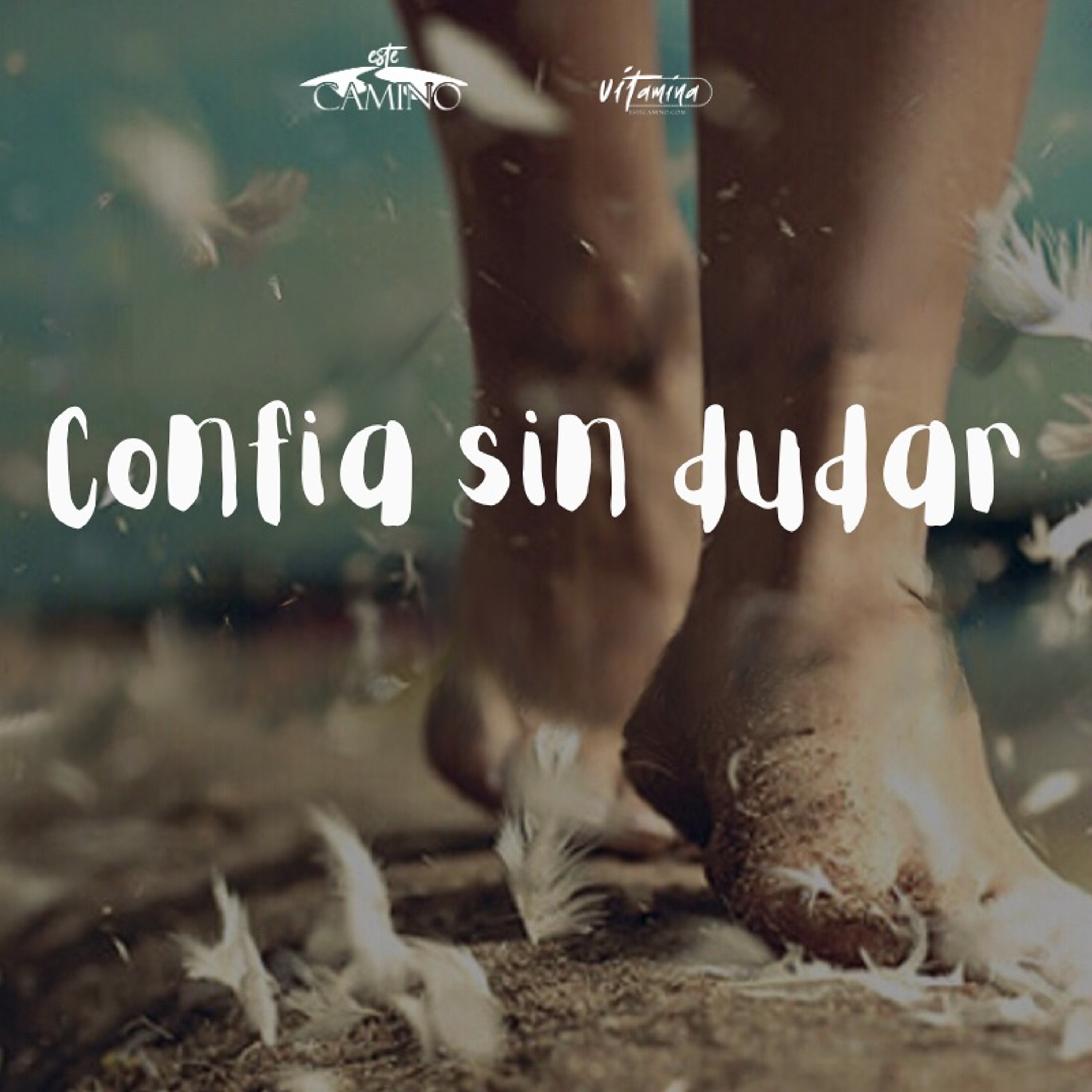 Confia sin dudar, Carmen Gloria González episode artwork