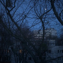 lullabies_01