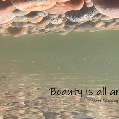 Beauty Is All Around Us - Scott Spalding