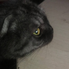 Дапштеп (prod. tokyos1ze)