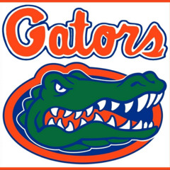 florida gator (prod. tenshi x ppekkaaa)