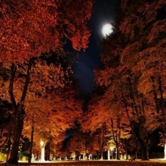 2018 (prod. metlast)