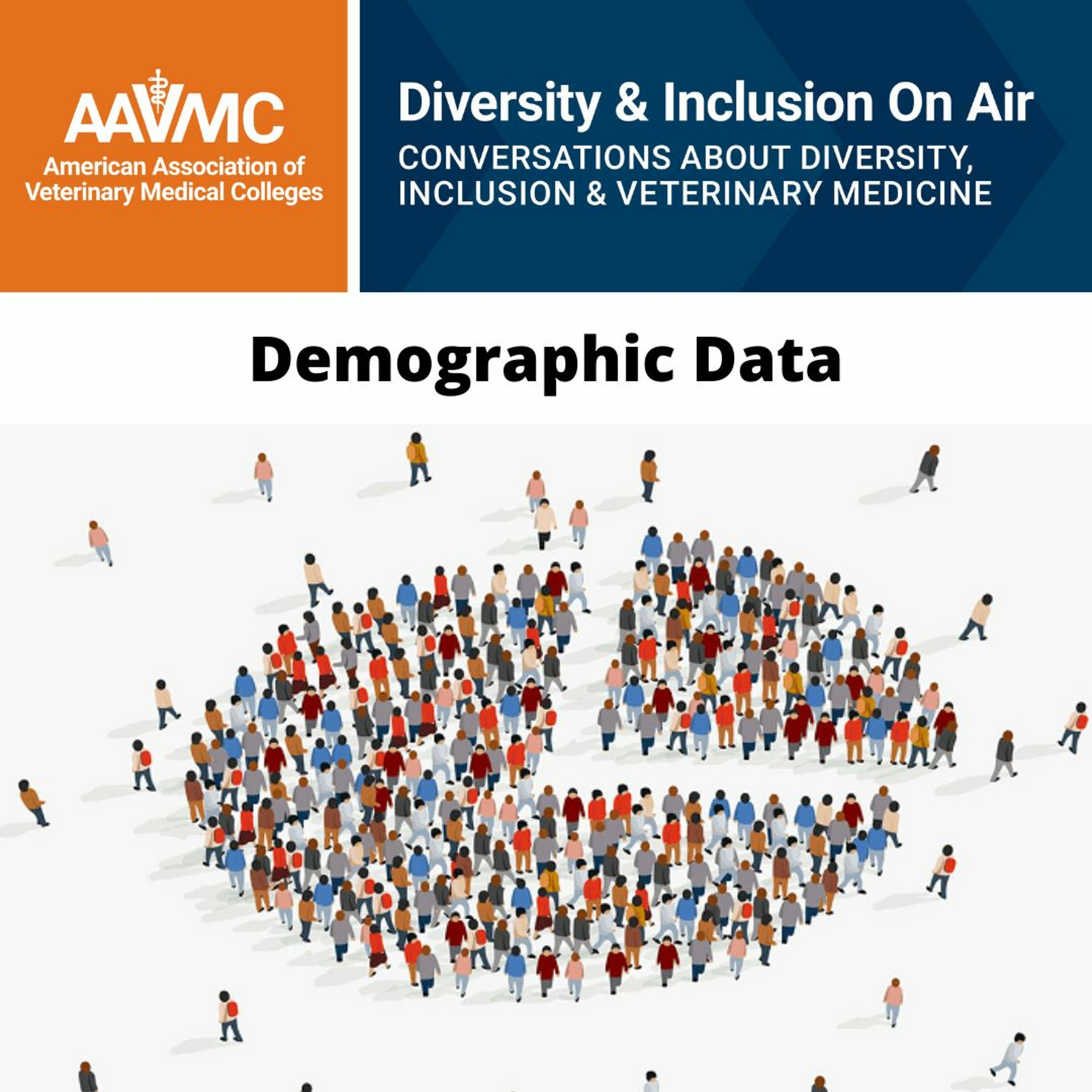 AAVMC\'s On Air: Conversations about Issues in Veterinary Medicine