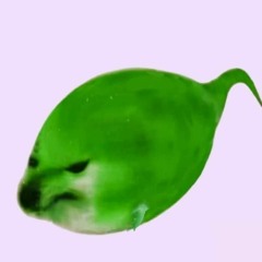 Không yêu xin đừng Don't Côi