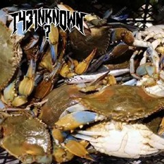 Flipswitch - Crab Riddim (T43 1nkn0wn Remix)