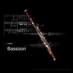 Xsample Bassoon