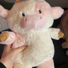 Breakfast Burrito Gone Wrong