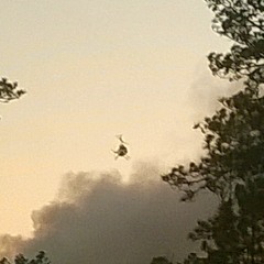 RockingInTheFreeWorld(Neil Young FFS)