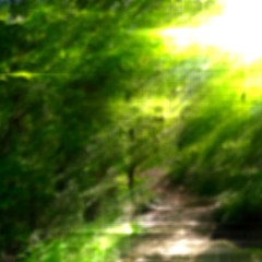 Pond Wood (Aug 2025)