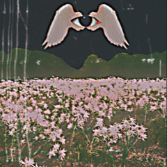 Abstract Absolution