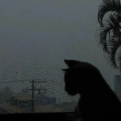 everybody wants to be a cat piano
