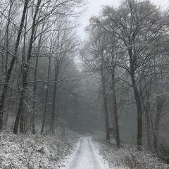 Frozen Tranquillity