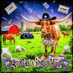 LastlyThis x SoulScrewedUp - Country Song