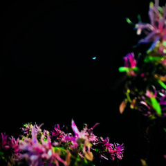 $linky - junky [mixed by kevin velasco]