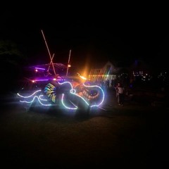 Phantom In The Forest 20240302