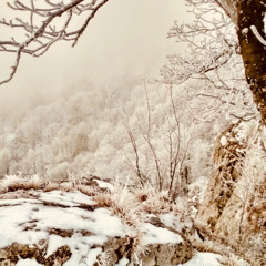 Snowfall in the Rokoš mountains