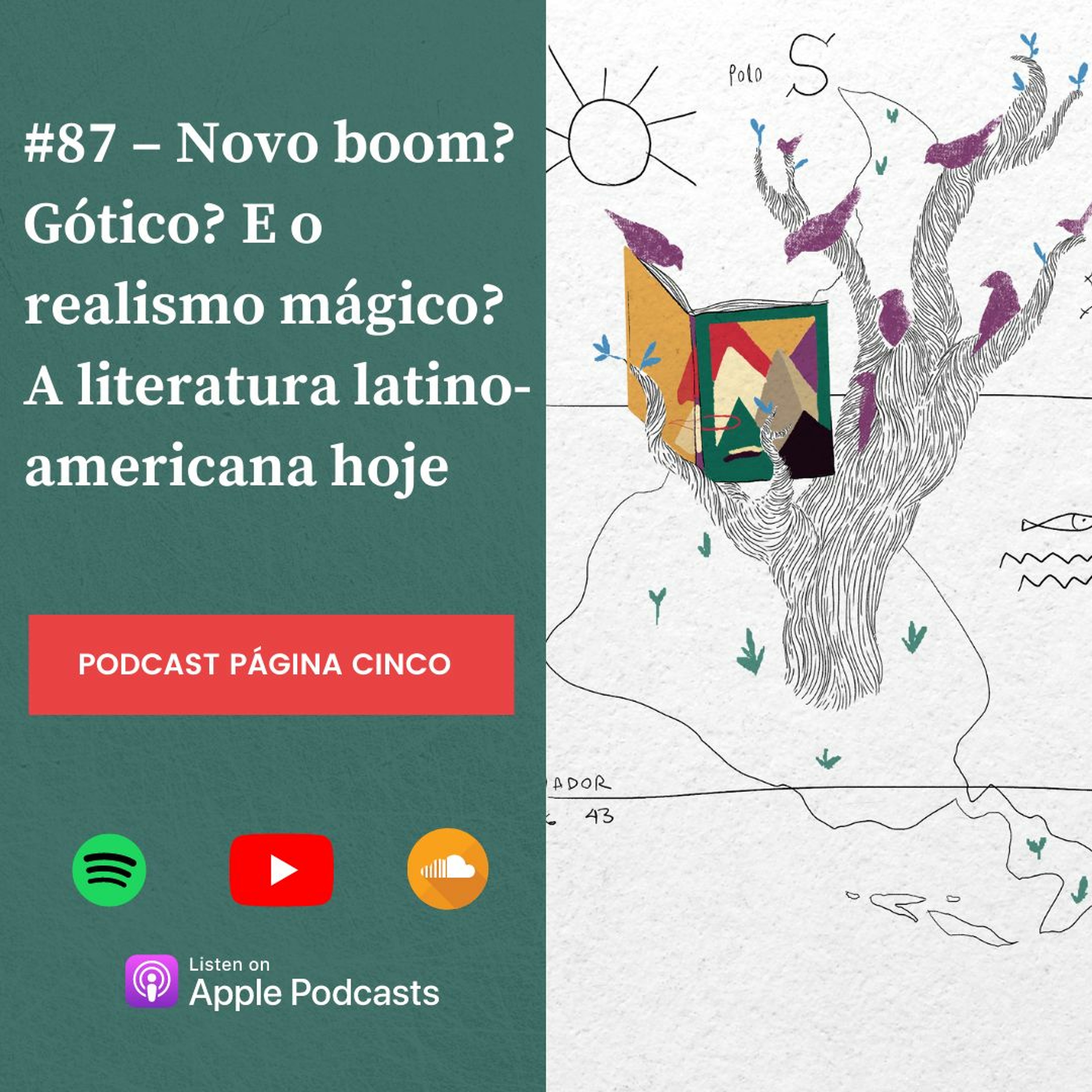 Podcast Página Cinco