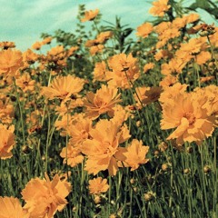 Wake up (Slowed Instrumental)