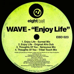 Enjoy Life (Original Afro Dub Mix)