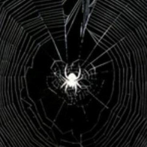 now ik whats real whats fake