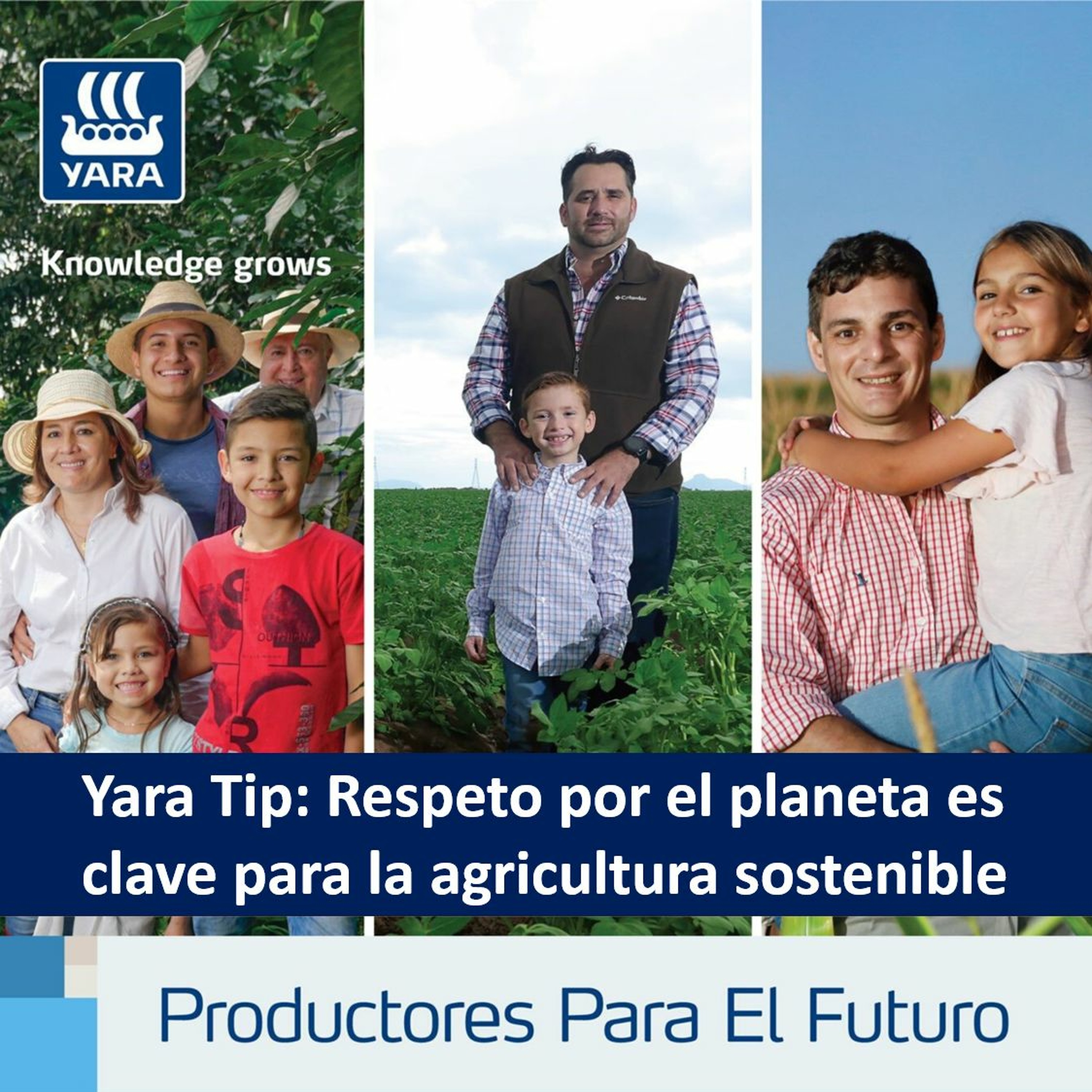 Productores Para El Futuro