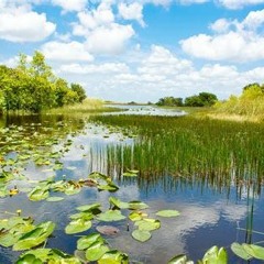 54 Top The Best Naples To Everglades National Park 2024 Tour