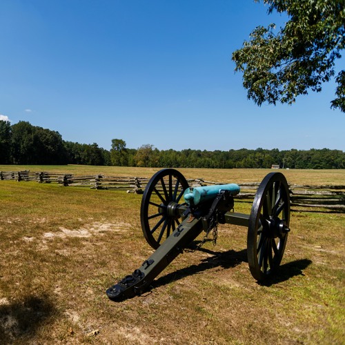 Stream episode The Hornets Nest by Action Tour Guide podcast | Listen ...