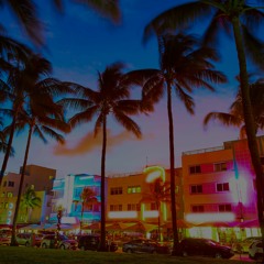 Party In Miami(DJ SvenSNs Remix) New House Music - Latin House