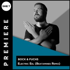 PREMIERE : Bock & Fuchs - Electric Eel (Beatamines Remix)[Mirror records]